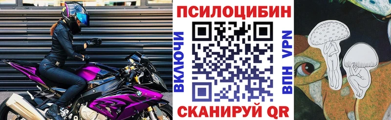 Купить закладки  Среднеколымск  Галлюциногенные грибы GOLDEN TEACHER 